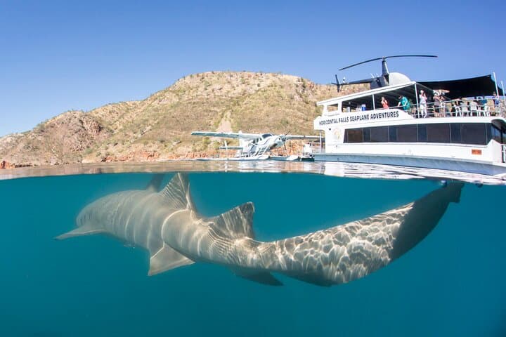 Derby to Horizontal Falls Half-Day Seaplane & Powerboat Adventure (Talbot Bay) photo 2