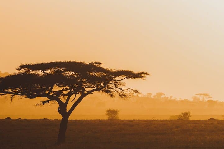 4-Day Masai Mara and Lake Nakuru Safari: Big Five, Flamingos & Rift Valley Views photo 6