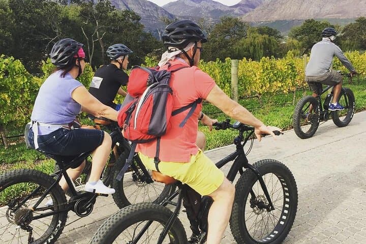 Franschhoek E‑Bike Wine Tour: Half-Day Cycling Through the Cape Winelands photo 4