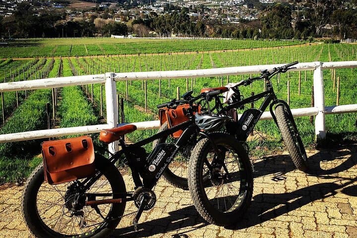 Franschhoek E‑Bike Wine Tour: Half-Day Cycling Through the Cape Winelands photo 5