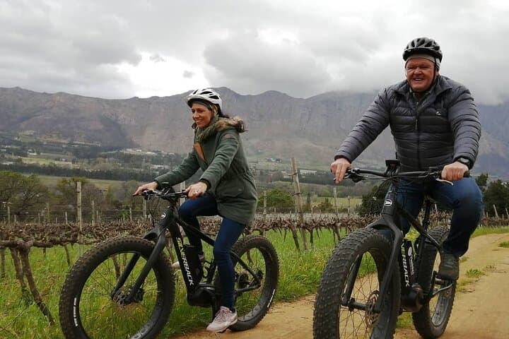 Franschhoek E‑Bike Wine Tour: Half-Day Cycling Through the Cape Winelands photo 6