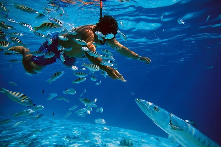 Snorkel El Cielo Cozumel: Palancar, Columbia & Starfish Sandbank Day Trip photo 5