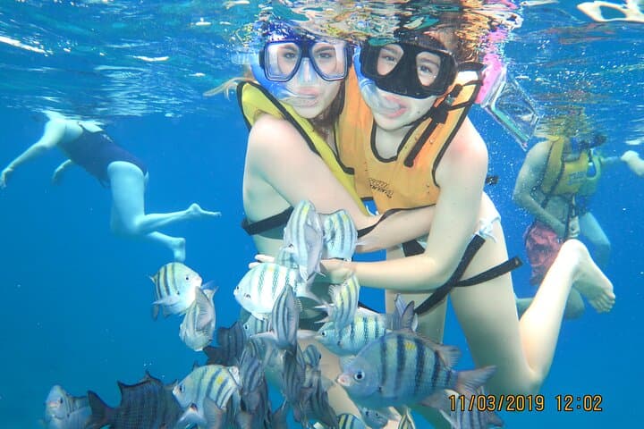 Cozumel Glass-Bottom Boat Snorkel and Money Bar Beach Club Lunch photo 5