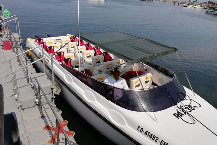 Ballestas Islands Cruise from Paracas — Wildlife & Candelabro Express photo 6