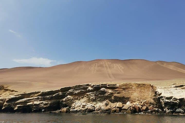 Ballestas Islands Cruise from Paracas — Wildlife & Candelabro Express photo 5