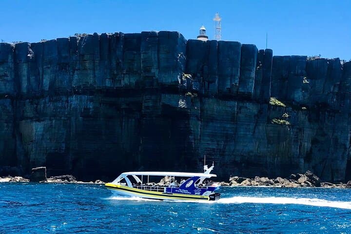 Jervis Bay Passage Tour — Hyams Beach, Point Perpendicular & Dolphin Watching Cruise photo 3
