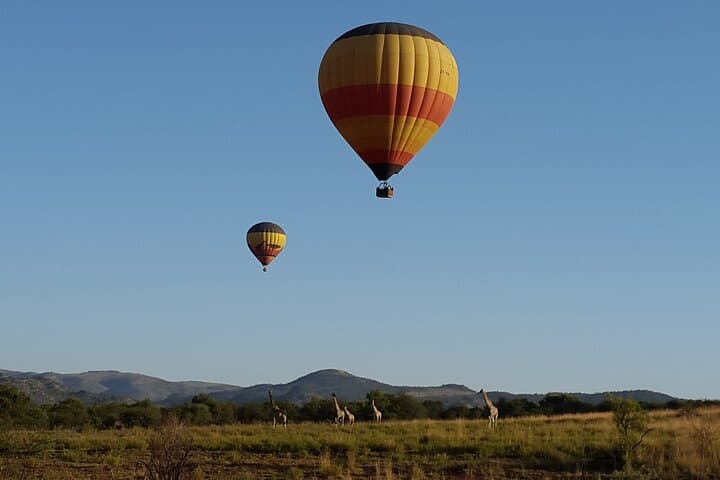 Pilanesberg Big 5 Day Safari from Cape Town — Flights Included photo 2