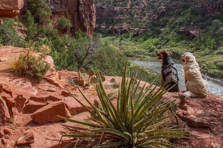 Running The Numbers: Half-Day Rafting on the Arkansas River, Buena Vista photo 5