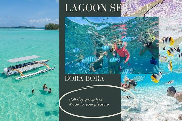 Half-Day Bora Bora Lagoon Cruise and Snorkeling at Mt Otemanu