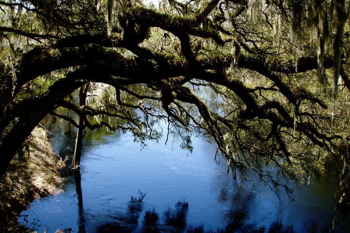 Paddle the Mystical Little-Big Econ River: Orlando’s Alligator Kayak Adventure photo 6