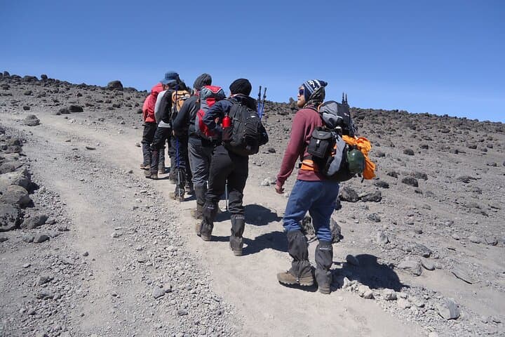 7-Day Lemosho Route Climb of Kilimanjaro — Summit via the Western Approach photo 5