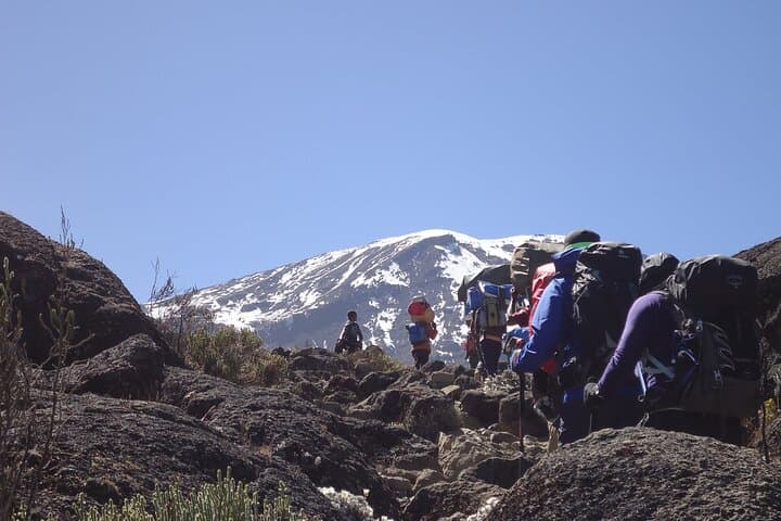 7-Day Lemosho Route Climb of Kilimanjaro — Summit via the Western Approach photo 6