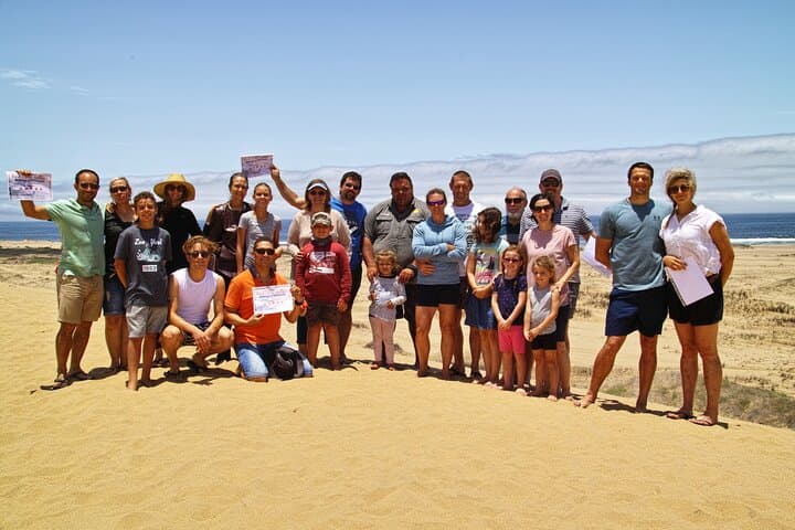 Sandwich Harbour Self-Drive: 4x4 the Dune-Coastline from Walvis Bay