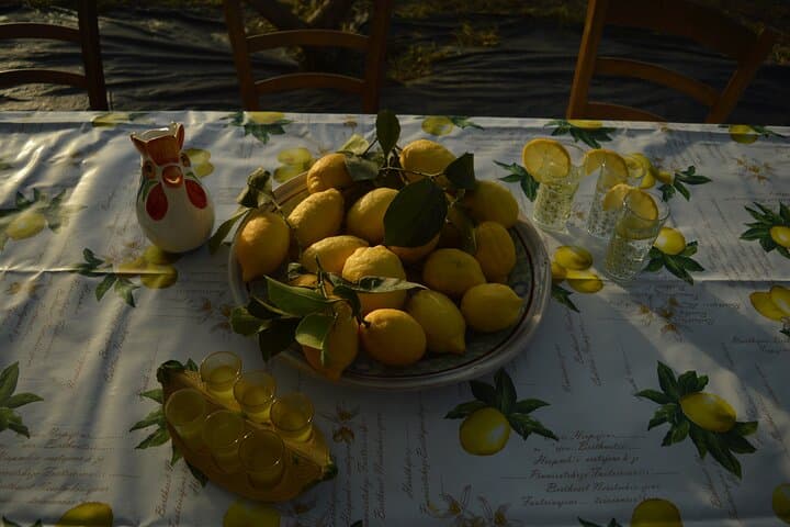 Sorrento Lemon Discovery Tour — Massa Lubrense Limoncello, Grafting & Pergola Walk