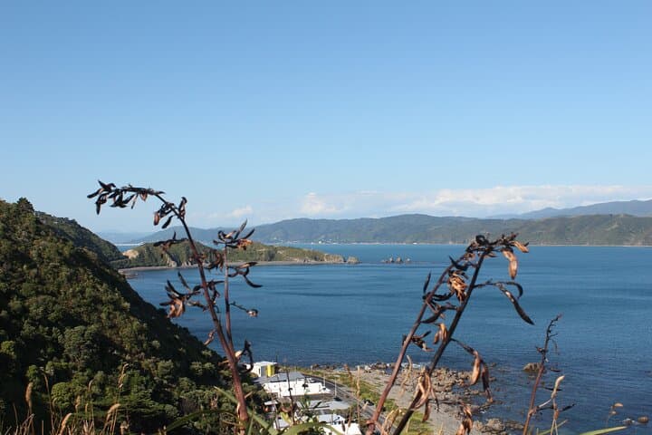 Private Wellington Scenic Full-Day Tour: Cable Car, Weta Cave & Eastern Bays photo 3