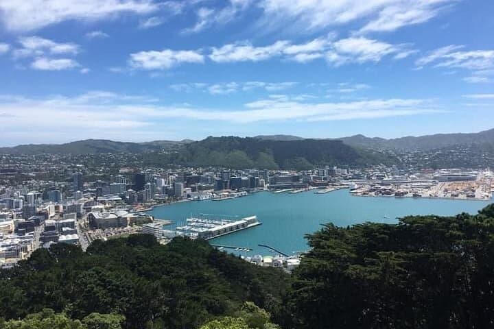 Private Wellington Scenic Full-Day Tour: Cable Car, Weta Cave & Eastern Bays photo 4