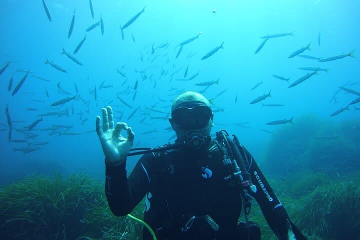 Diving Baptism in Menorca's Northern Marine Reserve: Introductory Scuba from Boat photo 6
