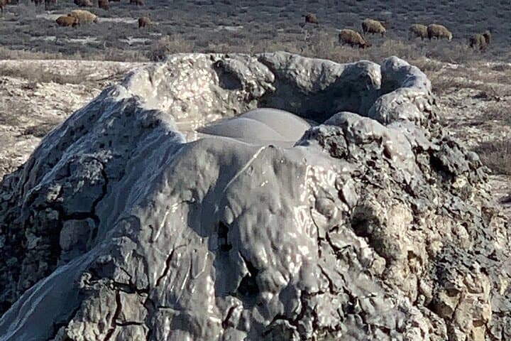 Gobustan Mud Volcanoes & Rock Art Private Tour from Baku photo 6