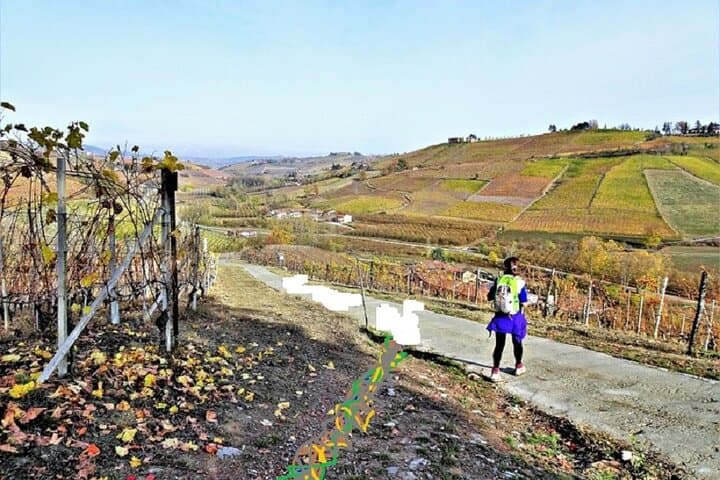 Hiking and Wine Tour from Alba: Langhe Hills Walk & Winery Tasting photo 4