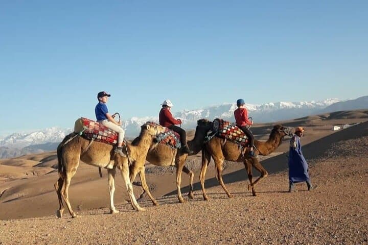Agafay Desert Camel Ride from Marrakech - 1-Hour Dromedary Trek & Berber Tea photo 5