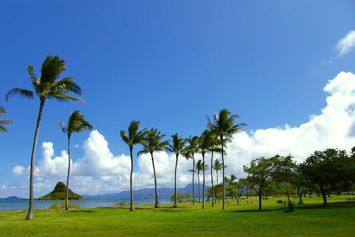Oahu Highlights Private Guided Tour — Waikiki Landmarks, Diamond Head & Nuʻuanu Pali Views photo 2