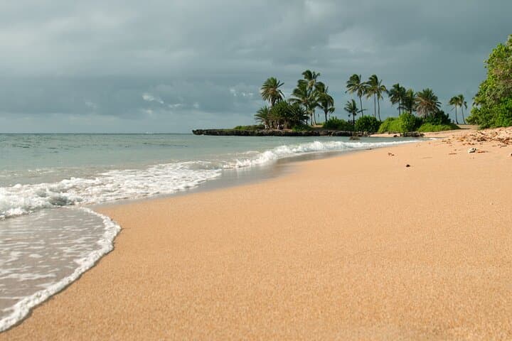 Oahu Highlights Private Guided Tour — Waikiki Landmarks, Diamond Head & Nuʻuanu Pali Views photo 5
