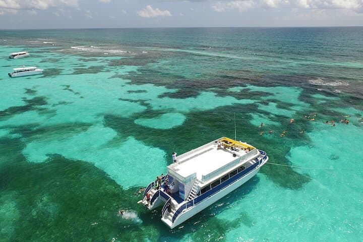 Contoy Island Day Trip from Cancun & Playa del Carmen: Snorkel, Birds, and Protected Beaches photo 5