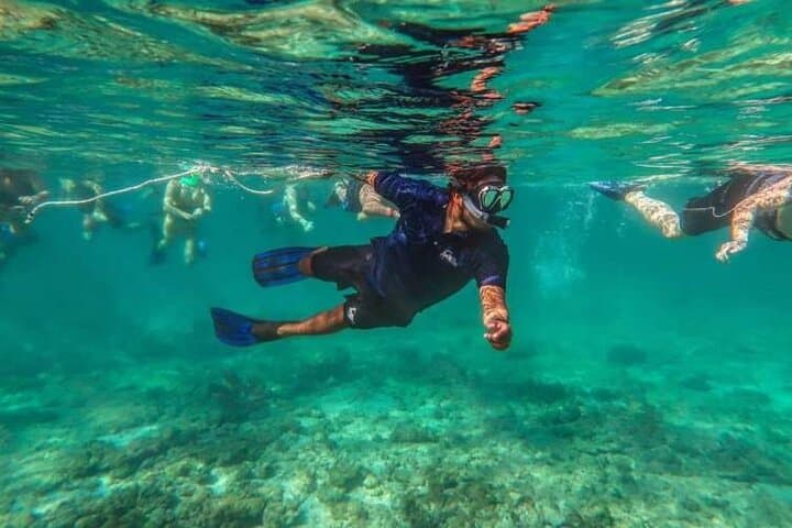 Snorkel Cancun's Underwater Museum and Turtle Habitat photo 3