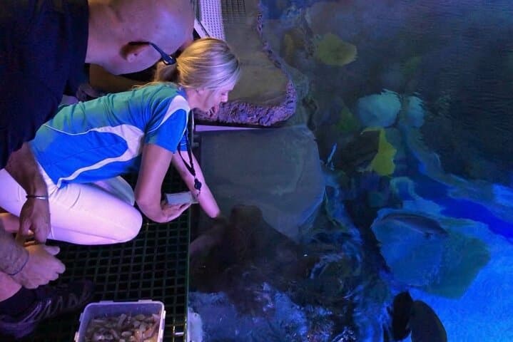 Cairns Aquarium Marine Life Encounter — VIP Behind-the-Scenes & Ray Feeding photo 2