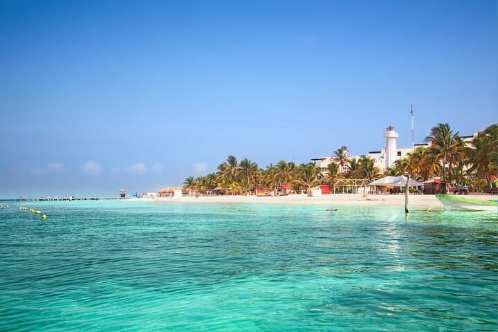 Swim with Whale Sharks at Contoy Island — Day Trip from Cancun photo 5