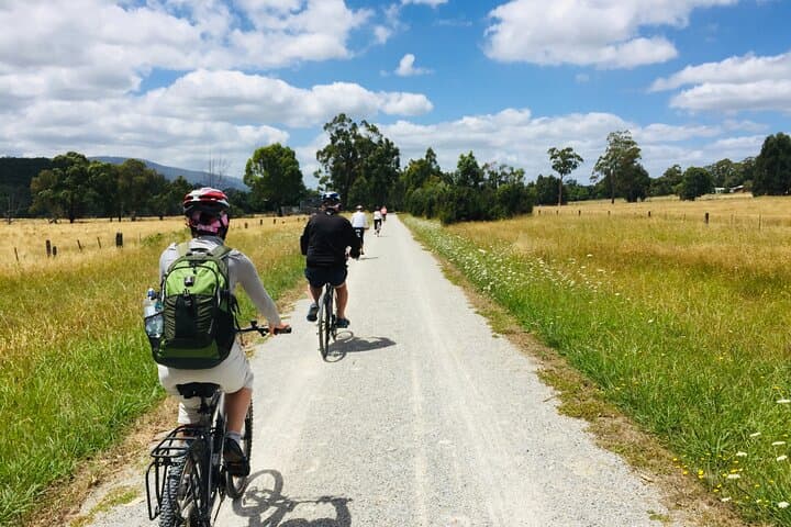 Yarra Valley Guided Bike Tour: Rail Trail Cycling, Wineries & Wood-Fired Lunch photo 4