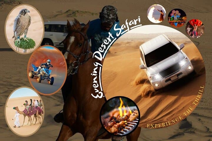 Dubai Red Dunes Desert Safari: Evening Dune Bashing, Camel Rides & BBQ photo 2