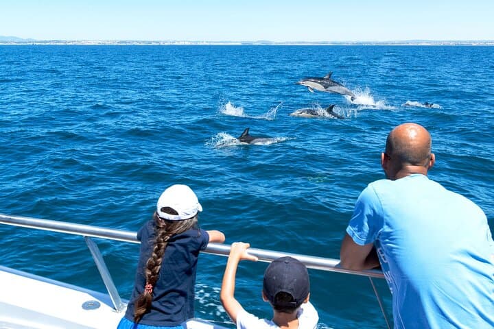 Dolphin Watching and Cave Cruise from Albufeira — Algarve Boat Tour photo 3