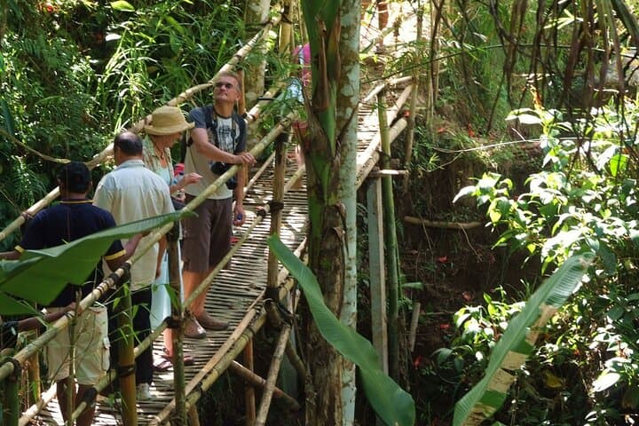 Ubud Eco Walk: Half-Day Herbal Trail, Village Paths & Local Lunch in Bali