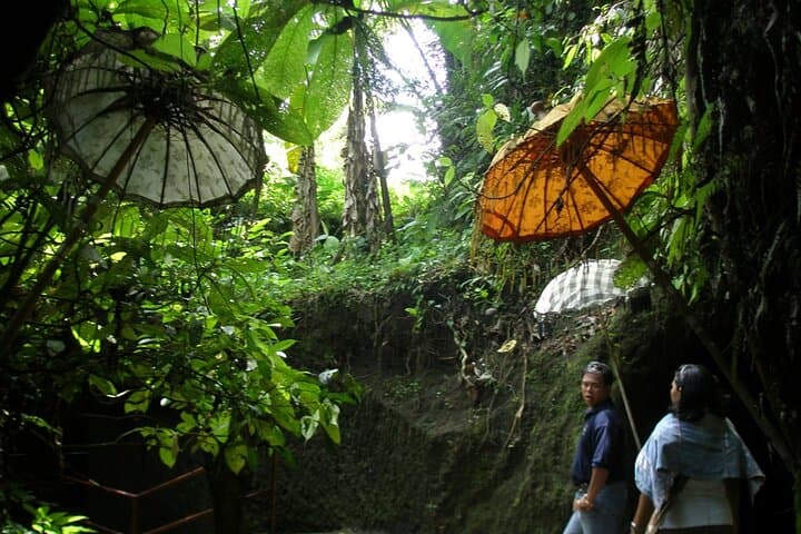 Ubud Eco Walk: Half-Day Herbal Trail, Village Paths & Local Lunch in Bali photo 2