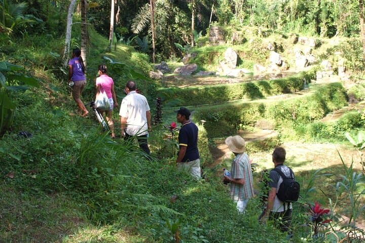 Ubud Eco Walk: Half-Day Herbal Trail, Village Paths & Local Lunch in Bali photo 3