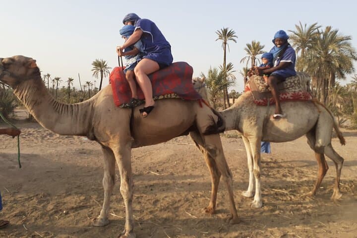 Palm-Grove Camel Ride & Quad Bike Tour from Marrakech photo 3