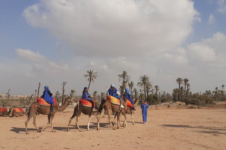 Palm-Grove Camel Ride & Quad Bike Tour from Marrakech photo 4