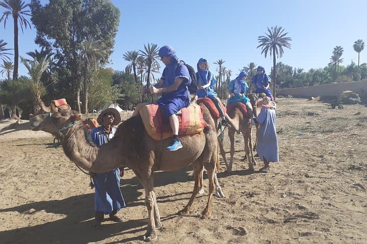 Palm-Grove Camel Ride & Quad Bike Tour from Marrakech photo 5