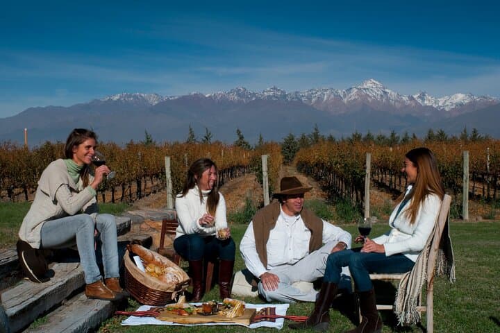 Malbec and Mountains: Private Uco Valley Wine Tour by 4x4 with Gourmet Lunch photo 3