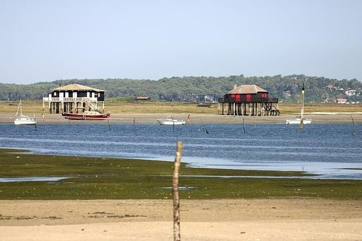 Arcachon & Dune du Pilat Full-Day Tour from Bordeaux — Oysters, Bay Views & Sand-Scape Climb photo 4