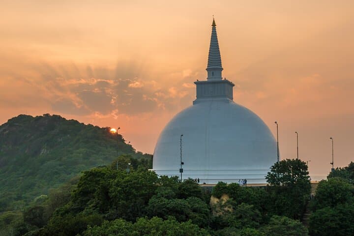 9-Day Sri Lanka Highlights Tour: Sigiriya, Kandy, Ella, Yala & Mirissa photo 4