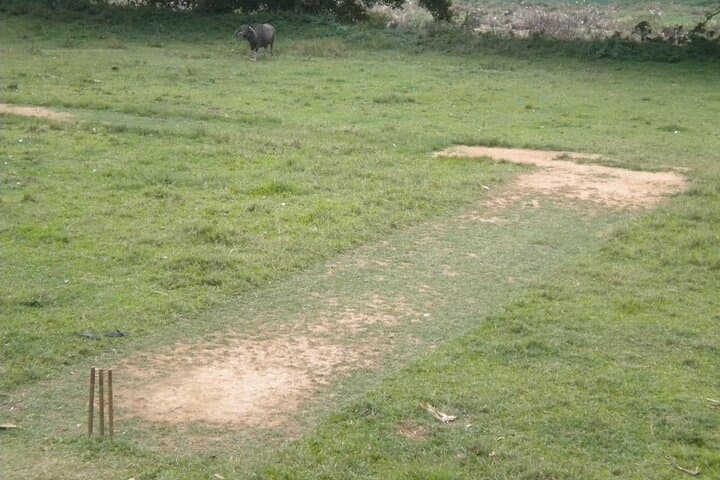 Sri Lankan Cricket Experience in Panadura: 3-Hour Local Match & Coaching photo 4