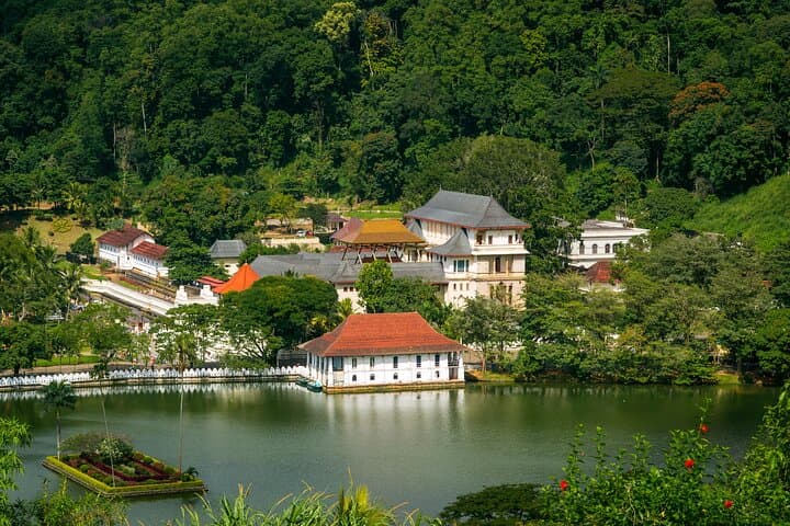6-Day Private Sri Lanka Road Trip with English-Speaking Chauffeur photo 6