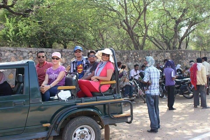 Private 6-Day Golden Triangle Tour with Ranthambore Safari — Delhi, Agra & Jaipur photo 3