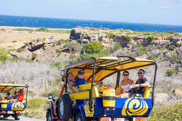 Aruba Natural Pool Jeep Safari: 4x4 Arikok Adventure and Snorkeling at Conchi photo 4