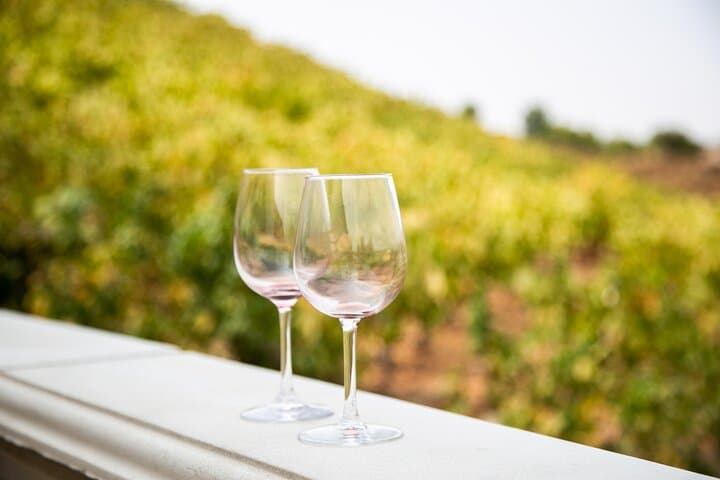 Temecula Wine Tour from Orange County — Full-Day Wine Valley Tastings
