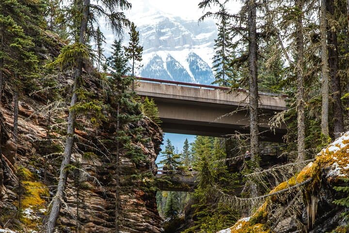 Icefields Parkway Self-Guided Audio Drive — Lake Louise to Jasper Scenic Tour photo 4