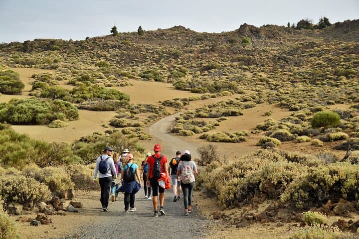 Teide Sunset Hike & Stargazing: Private Evening Tour in Teide National Park photo 5