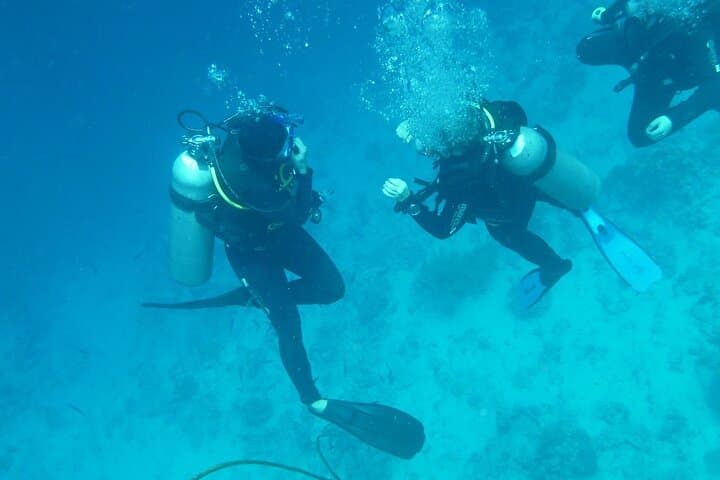 PADI Scuba Certification in Negril: 2–3 Day Open Water Course in Jamaican Waters photo 2